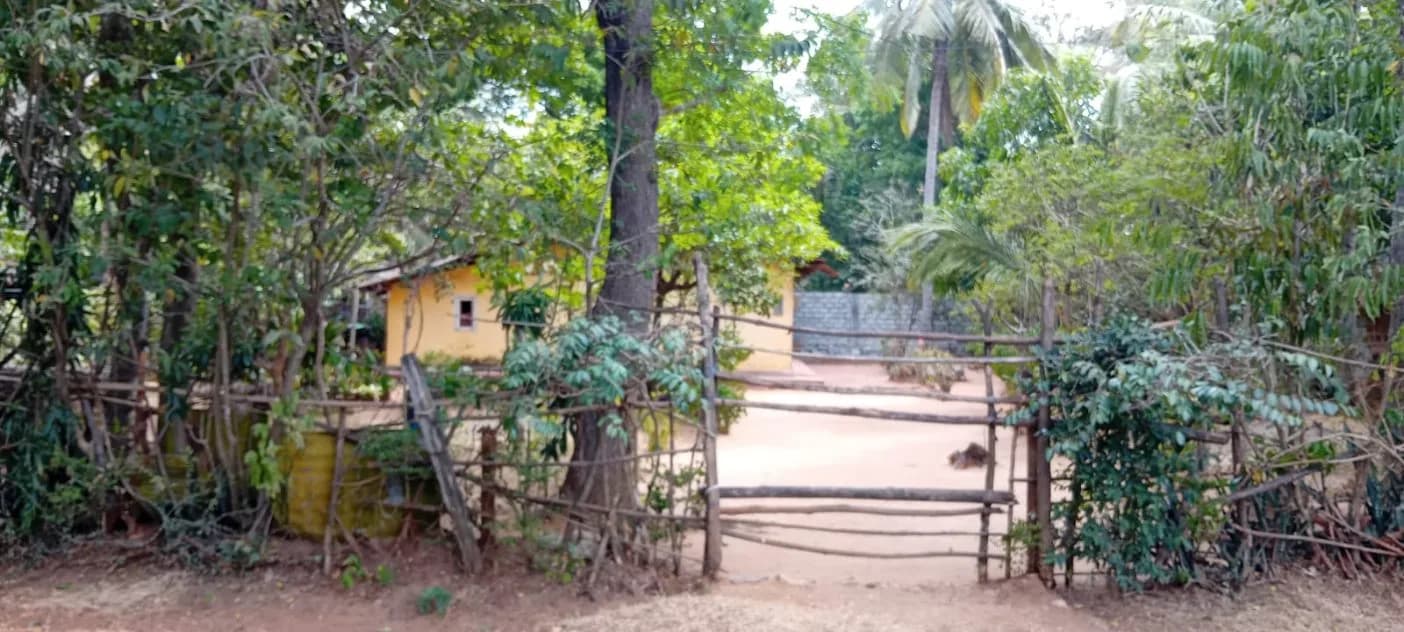 A Land for sale in Thekkawatte, Vavuniya