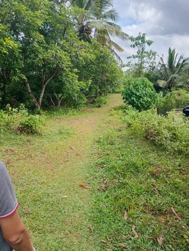 උඩමාපිටිගම රඹුටන් ඉඩම විකිණීමට Land for sale in Udamapitigama