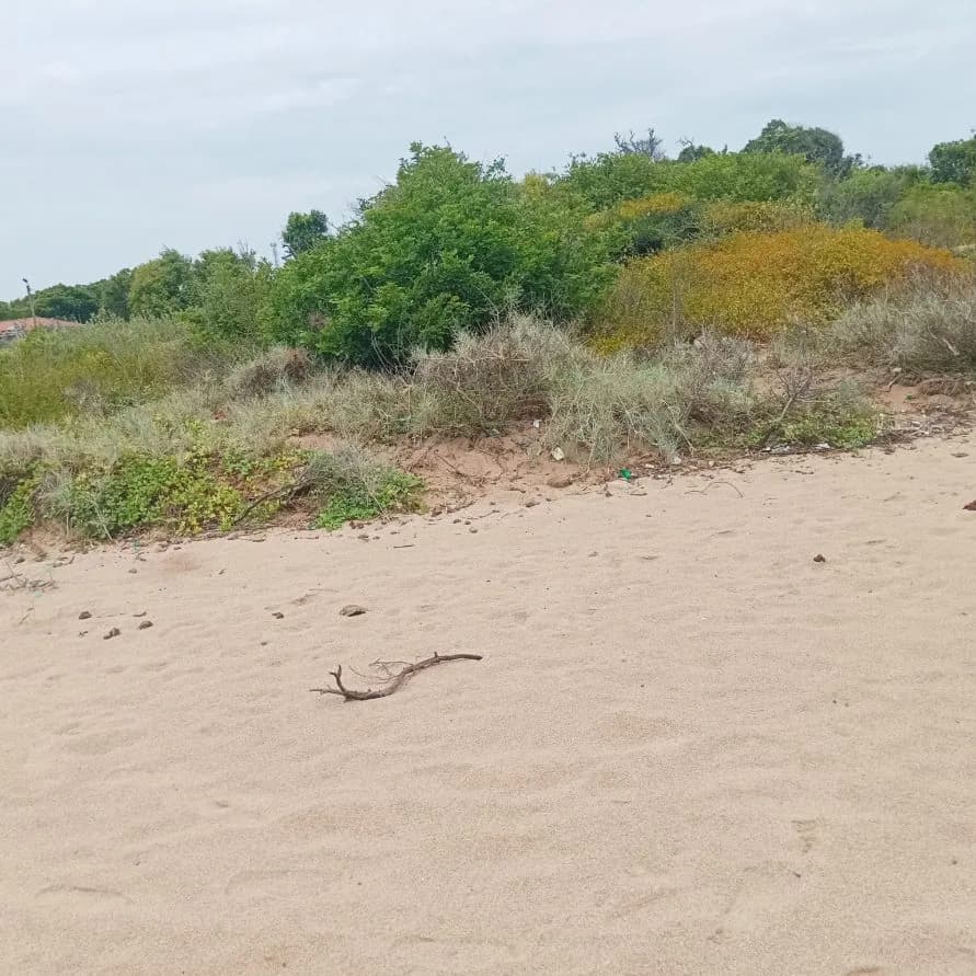 Beachfront Land for Sale — photo 1 of 2