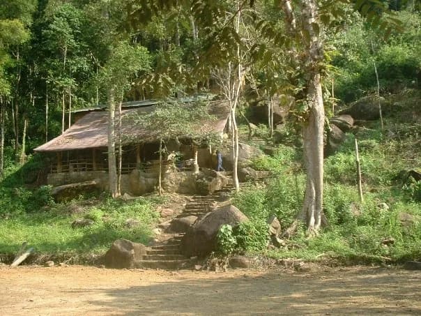වැද්දාගල සිංහරාජ අඩවියෙන් අගනා ඉඩමක් ( හෝටලයක් හෝ නිදහස් නිවහනක් සඳහා ) — photo 1 of 8